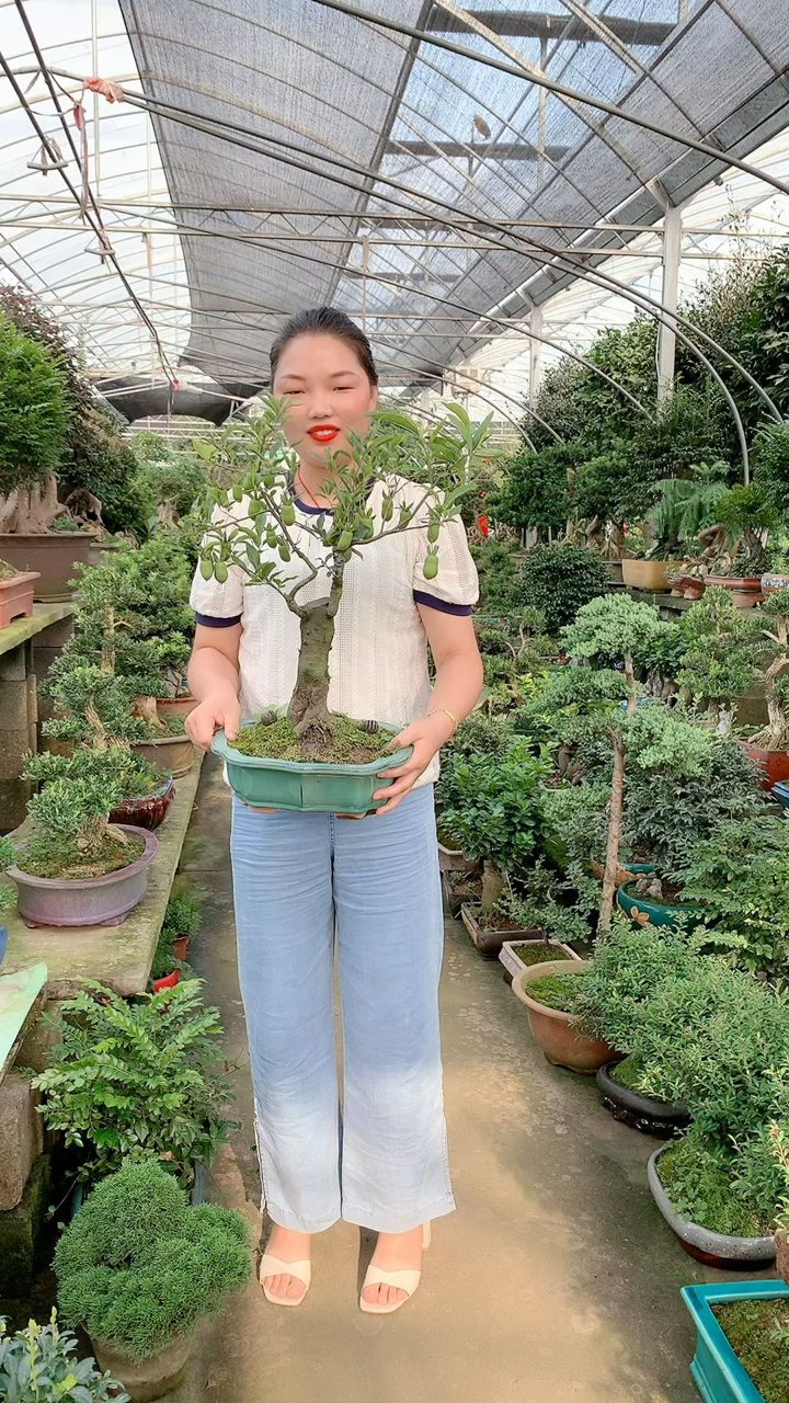 长在树上的花生