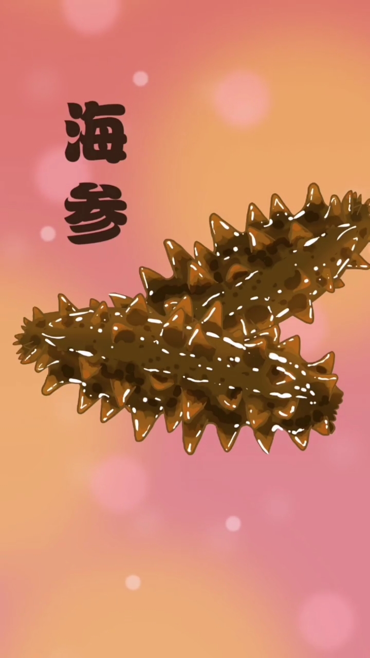 #我要上热门#海参:我也没多老,就比恐龙早个3亿年吧!