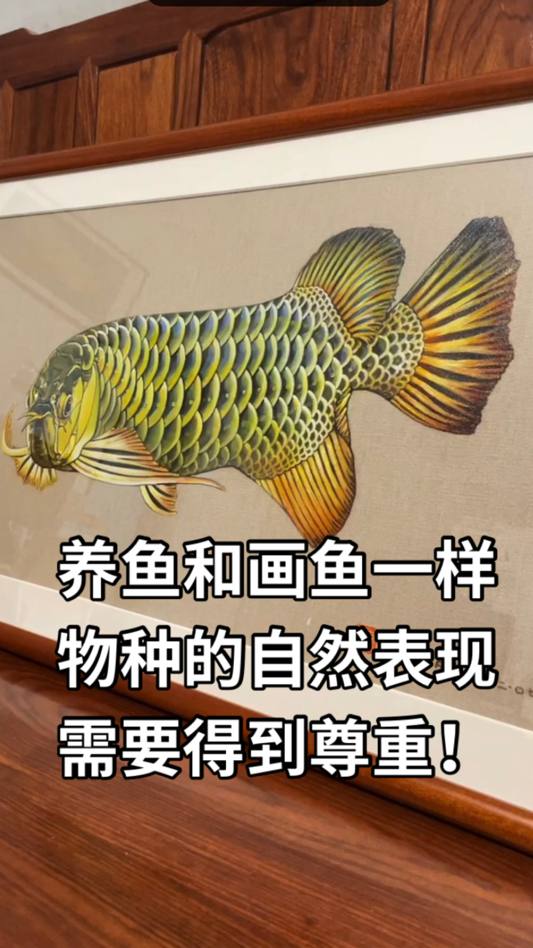 #古典过背金龙鱼#以物种的理解角度落笔绘制,画好古典过背的难度远大于红龙,观赏性亦是如此!