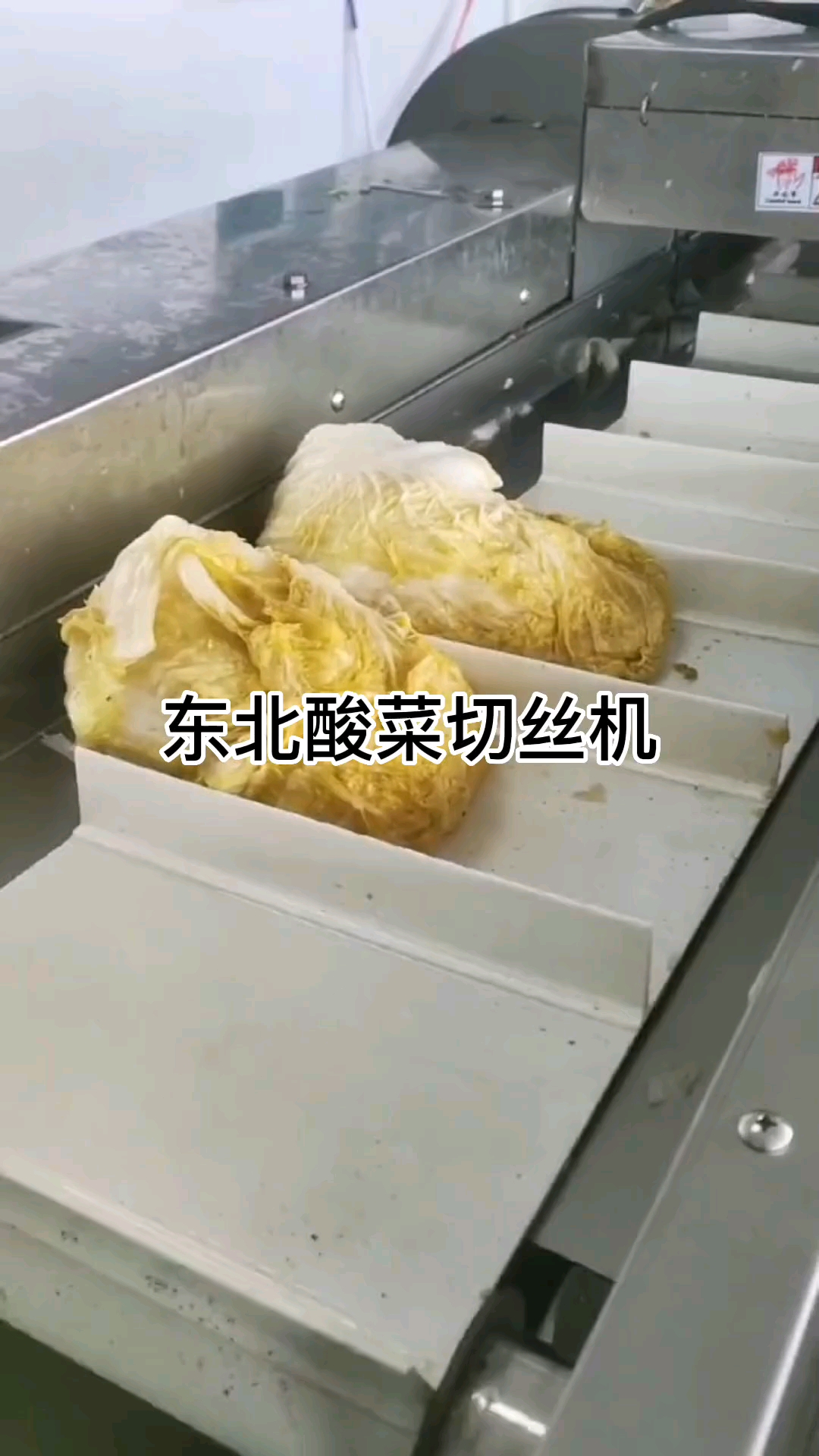 东北酸菜切丝机#酸菜划根机#酸菜切根机#切酸菜机