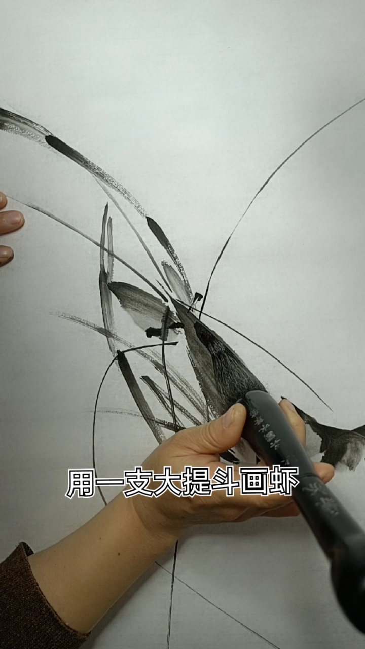 #中国画#全程用一支大提斗画虾
