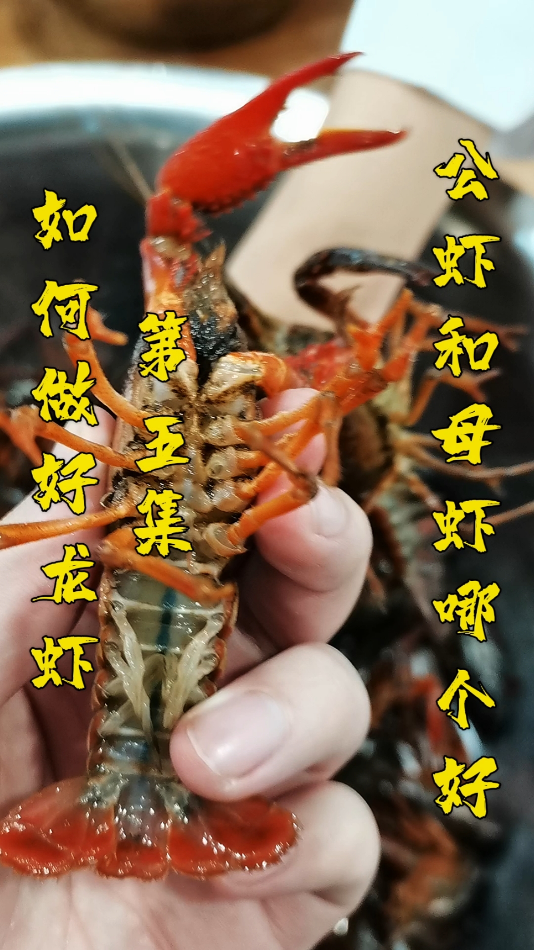 #小龙虾#做龙虾用公虾还是母虾