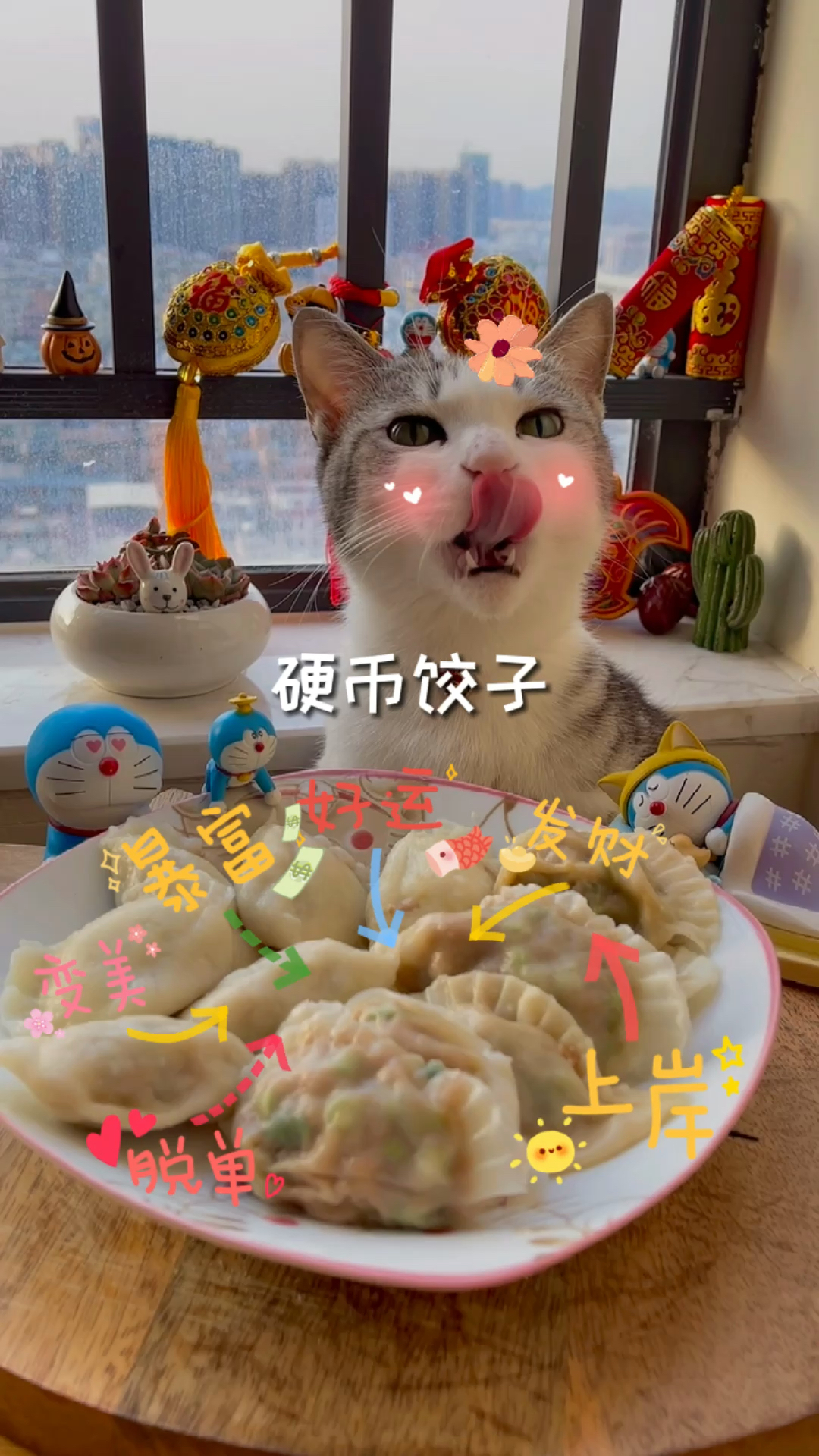#我家萌宠成精了#你们过年吃饺子吗，吃到过硬币请举爪