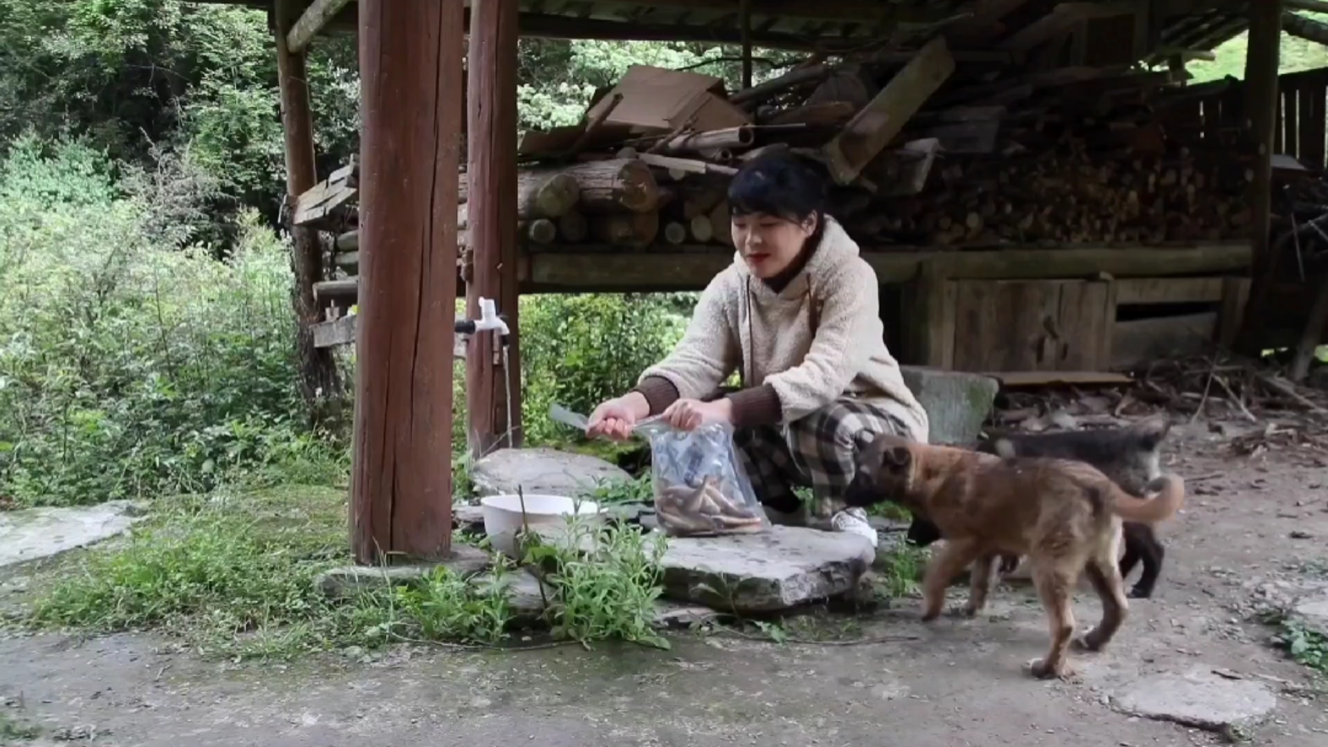 #乡村生活#山居日常:晚饭,干炸小黄鱼,不错,不错!(一)
