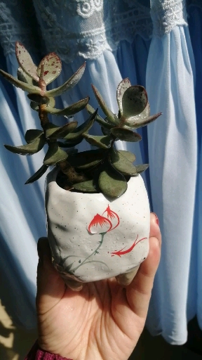 #我的小花园#草莓蛋糕水泡