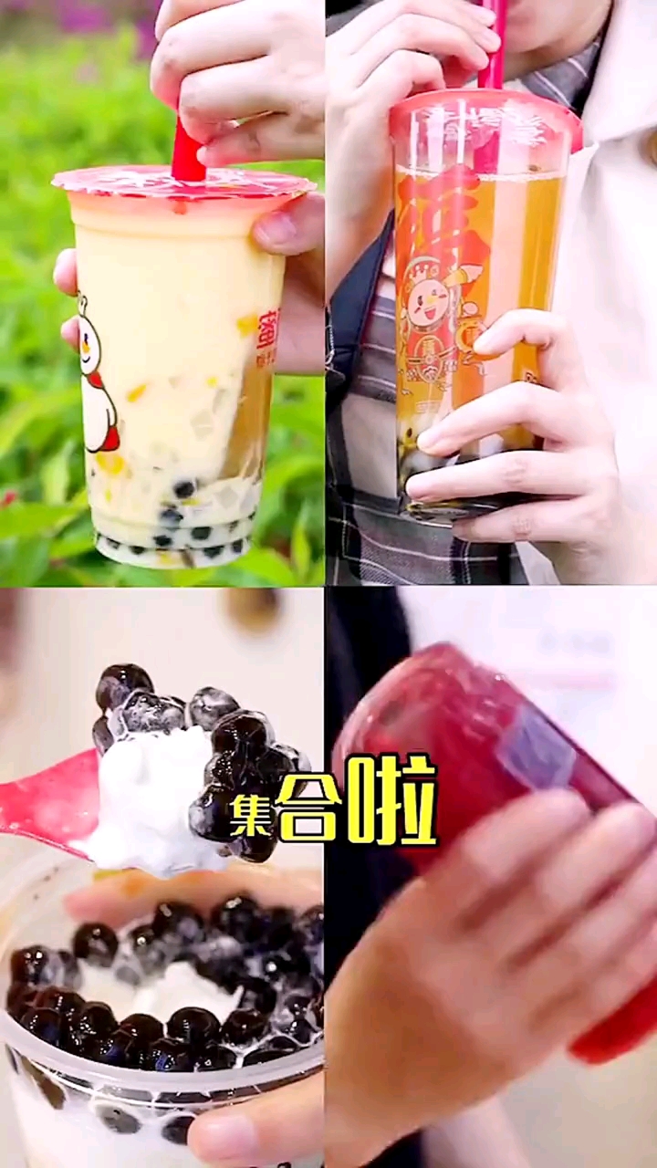 #奶茶加盟#蜜雪冰城是大家都爱的奶茶
