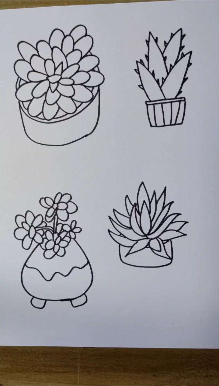 #简笔画#你喜欢肉肉植物吗