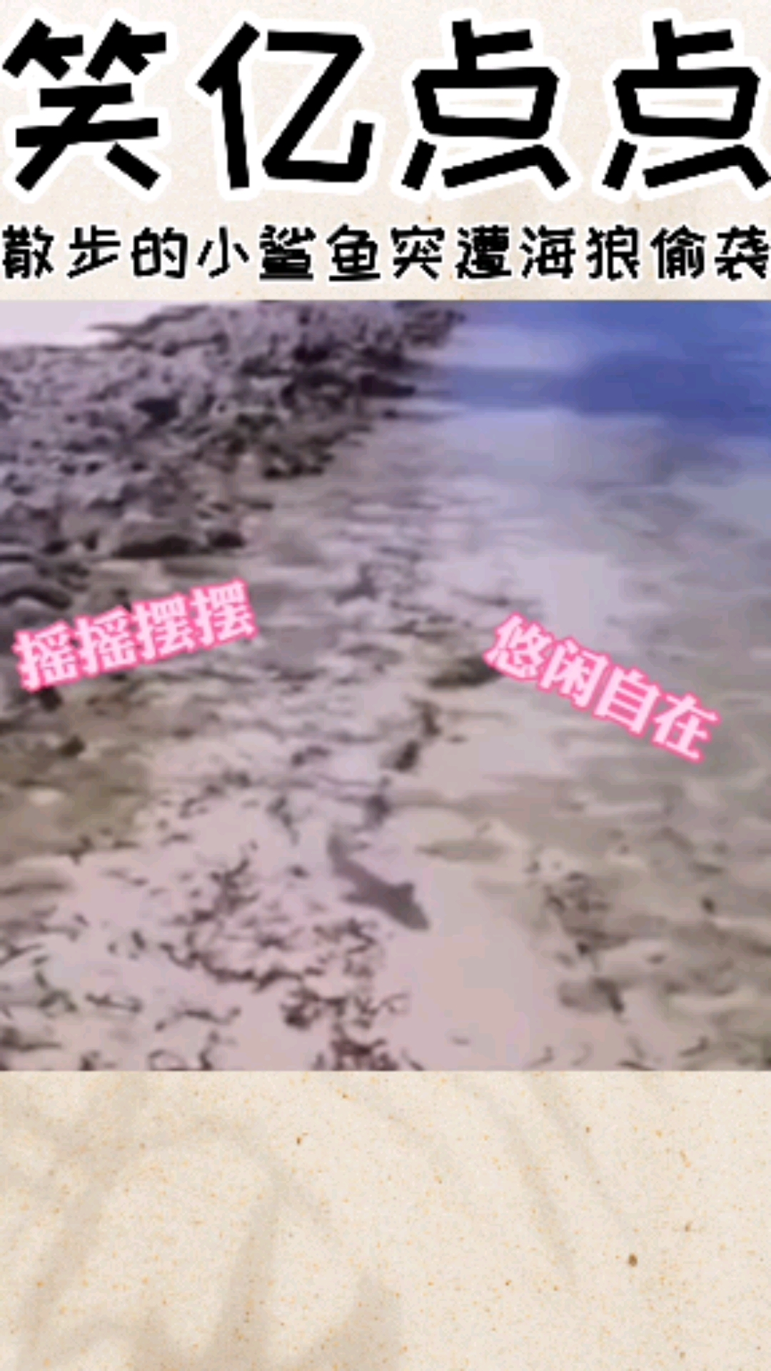 #搞笑视频#散步的小鲨鱼涂遭海浪偷袭