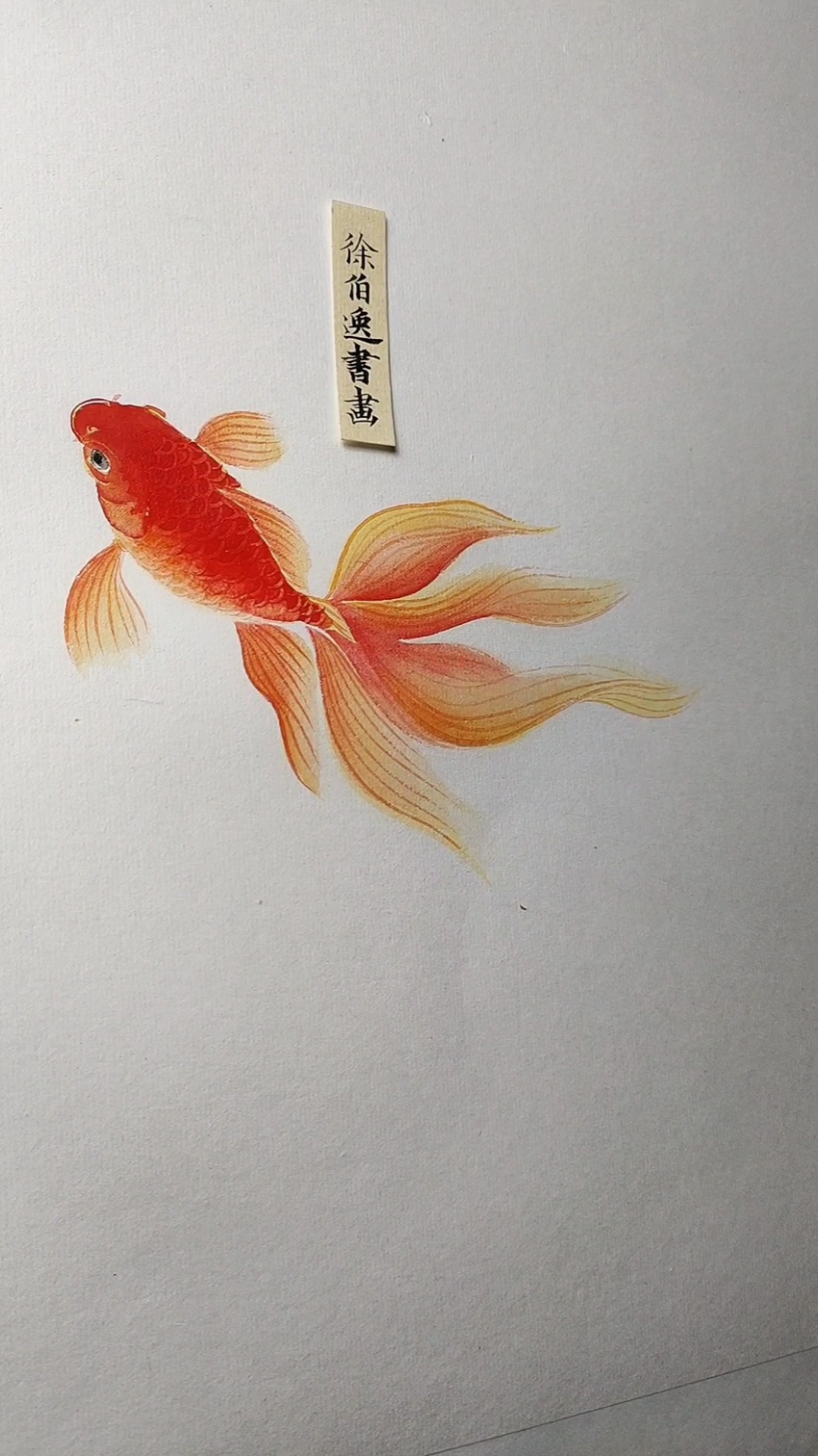 #徐伯逸书画#画一条小金鱼