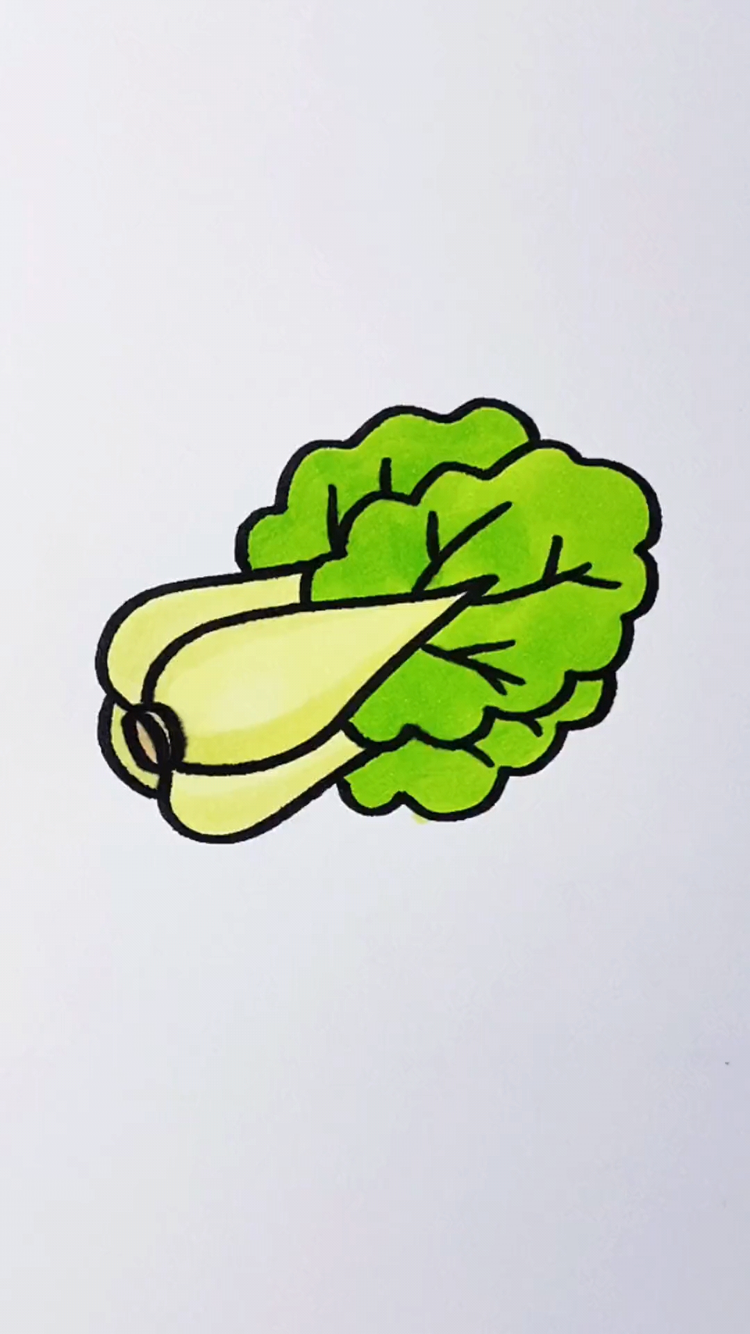 画大白菜