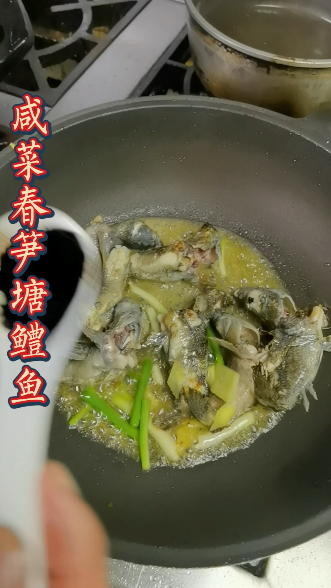 #家乡特色美食#人间美味塘鲤鱼,春天油菜花盛开的时节,正是最肥嫩的时候
