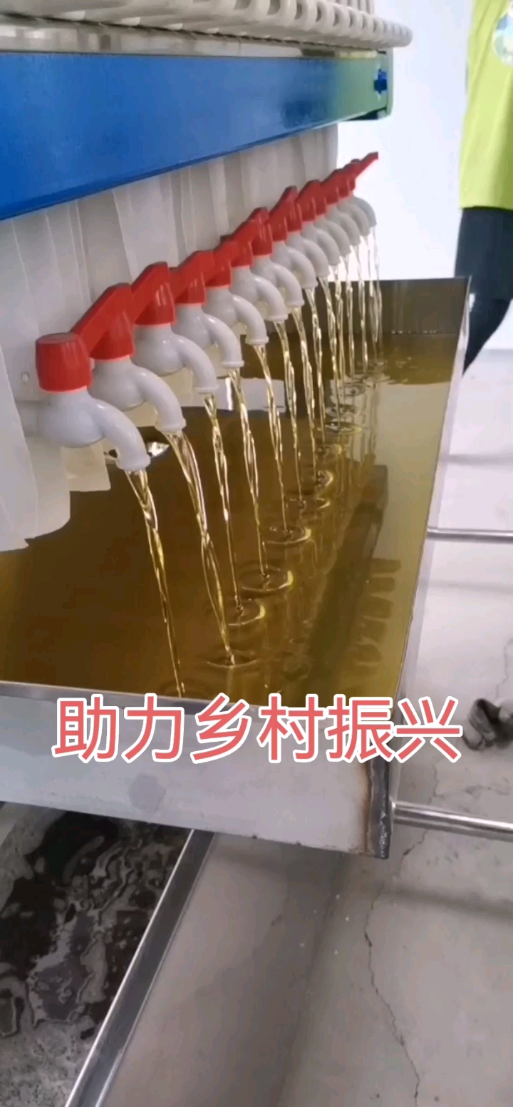 #多功能菜籽油葵榨油机#榨油生产线设备,食用油精炼设备,山茶油加工设备,核桃榨油精练机,胡