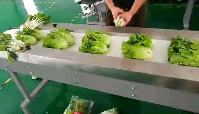 #包装机械#蔬菜包装机,上下切封,生菜、白菜、娃娃菜包装