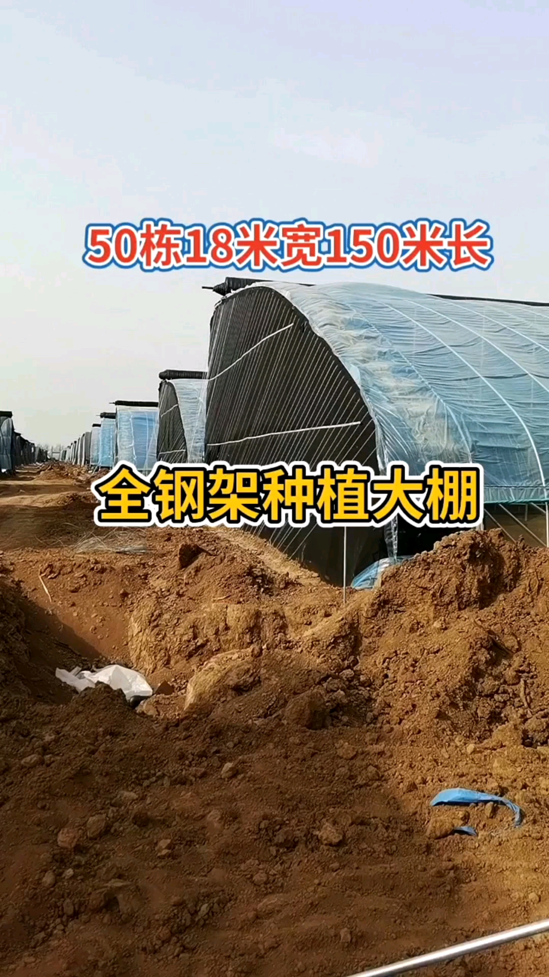 #蔬菜大棚#50栋全钢架种植大棚,18米宽150米长,地基打螺旋地桩。