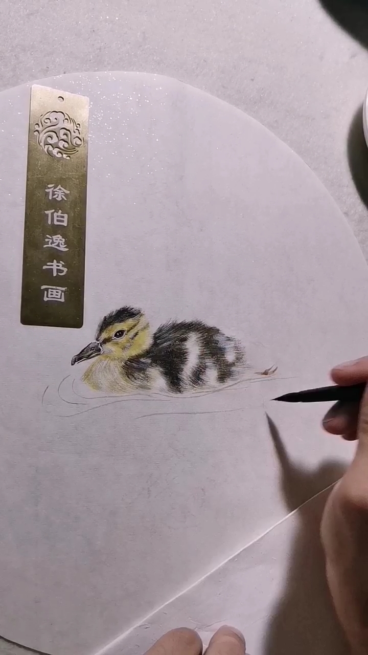 #徐伯逸书画#画一只水里游的小野鸭
