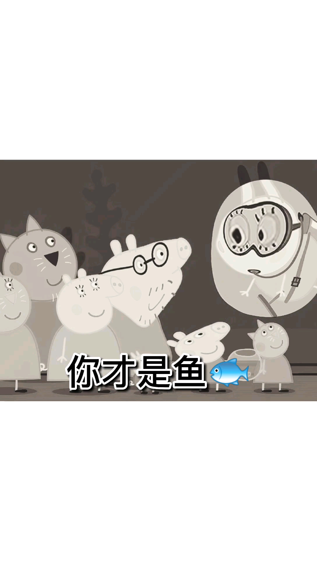 你才是鱼