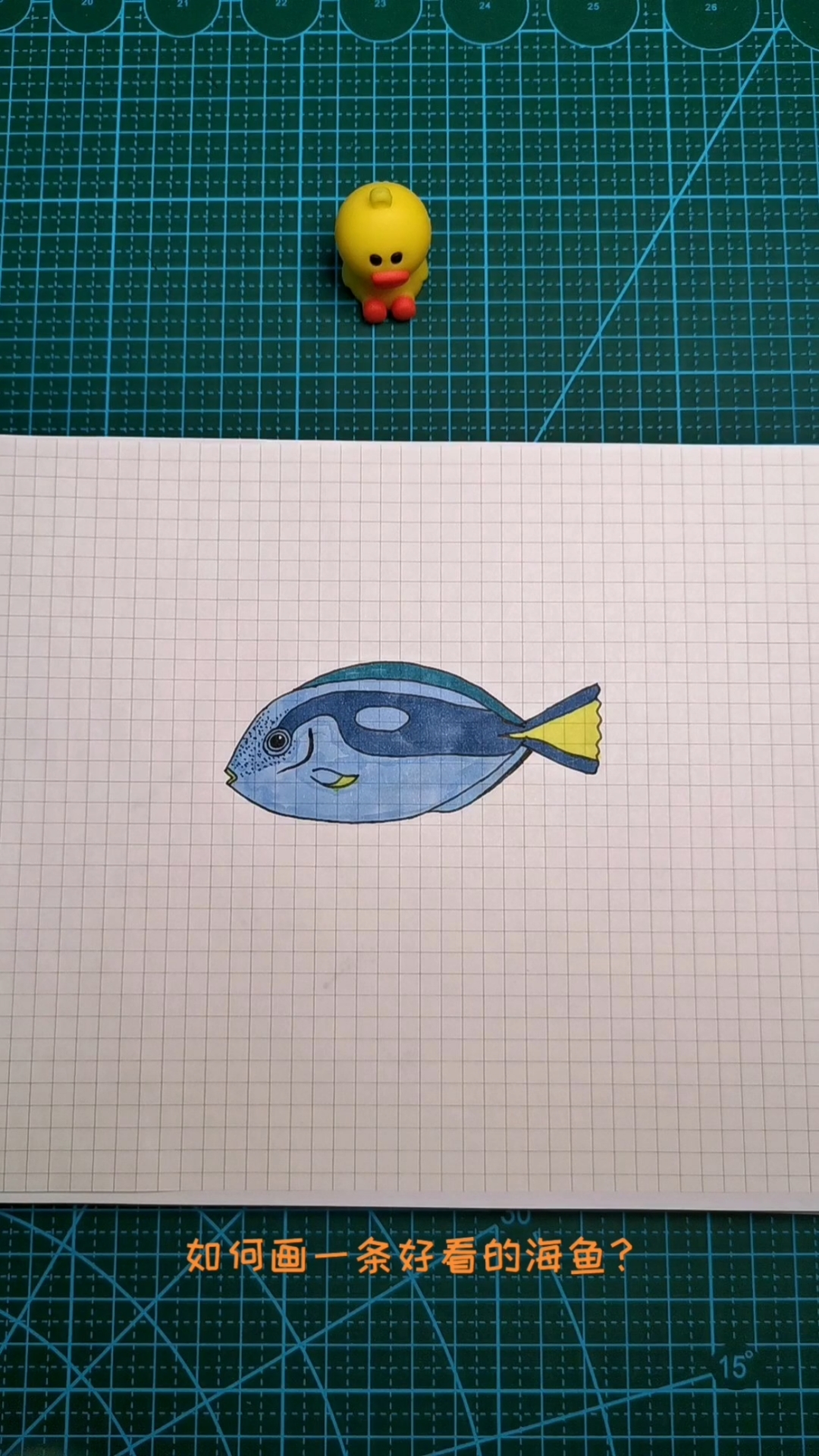 如何画一条好看的海鱼?