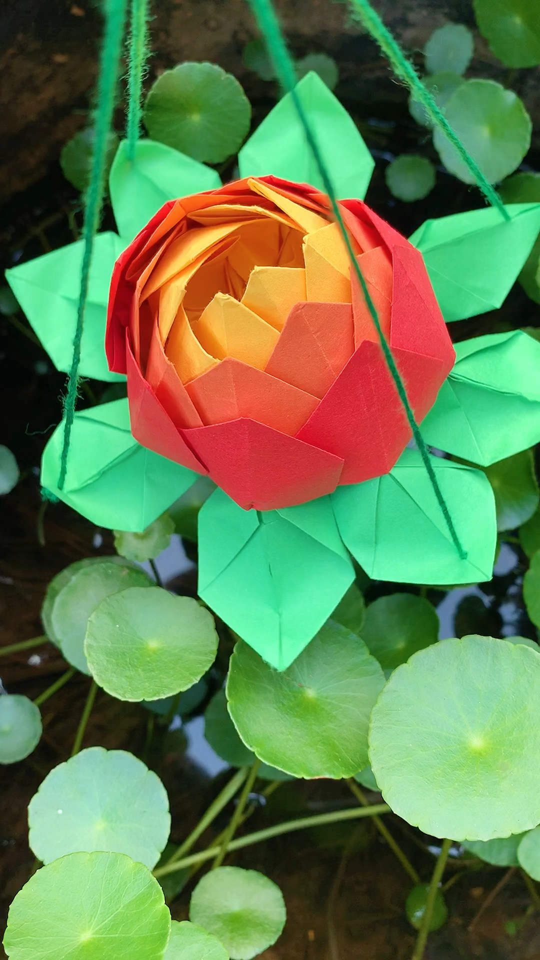 #手工制作#中秋节荷花灯笼，快来做一个吧！