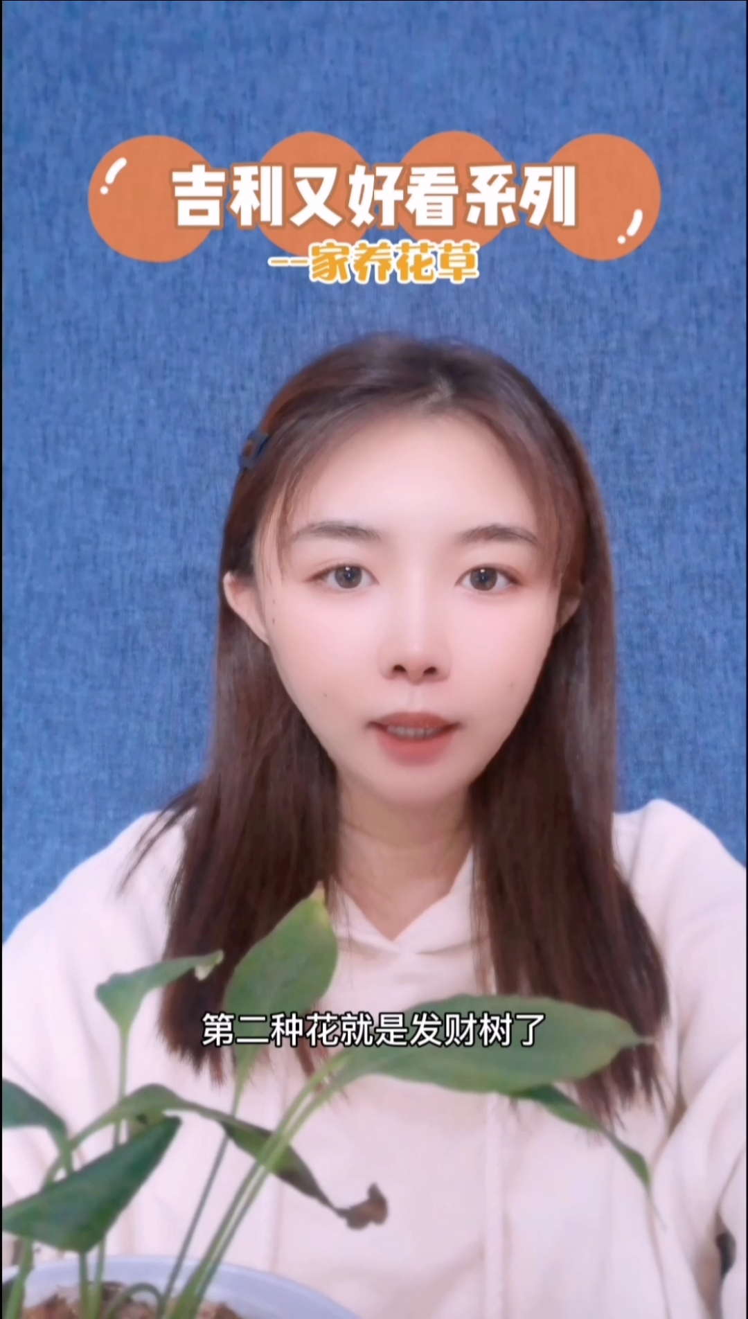 #独竖一知##好种草#养花好处多:吉利又好看的花,太给家里增添生气啦～