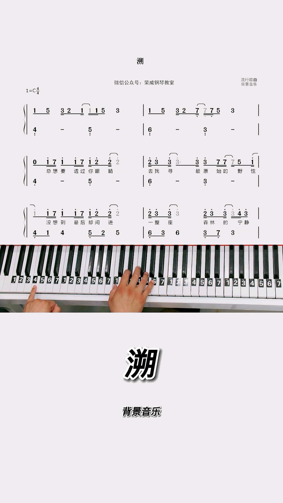 《溯》钢琴教学零基础版双手钢琴简谱教程出啦!完整版已编配