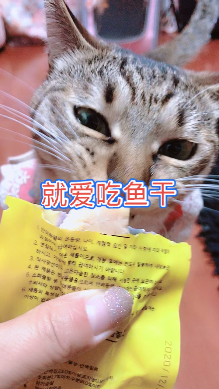 #萌宠成长记#