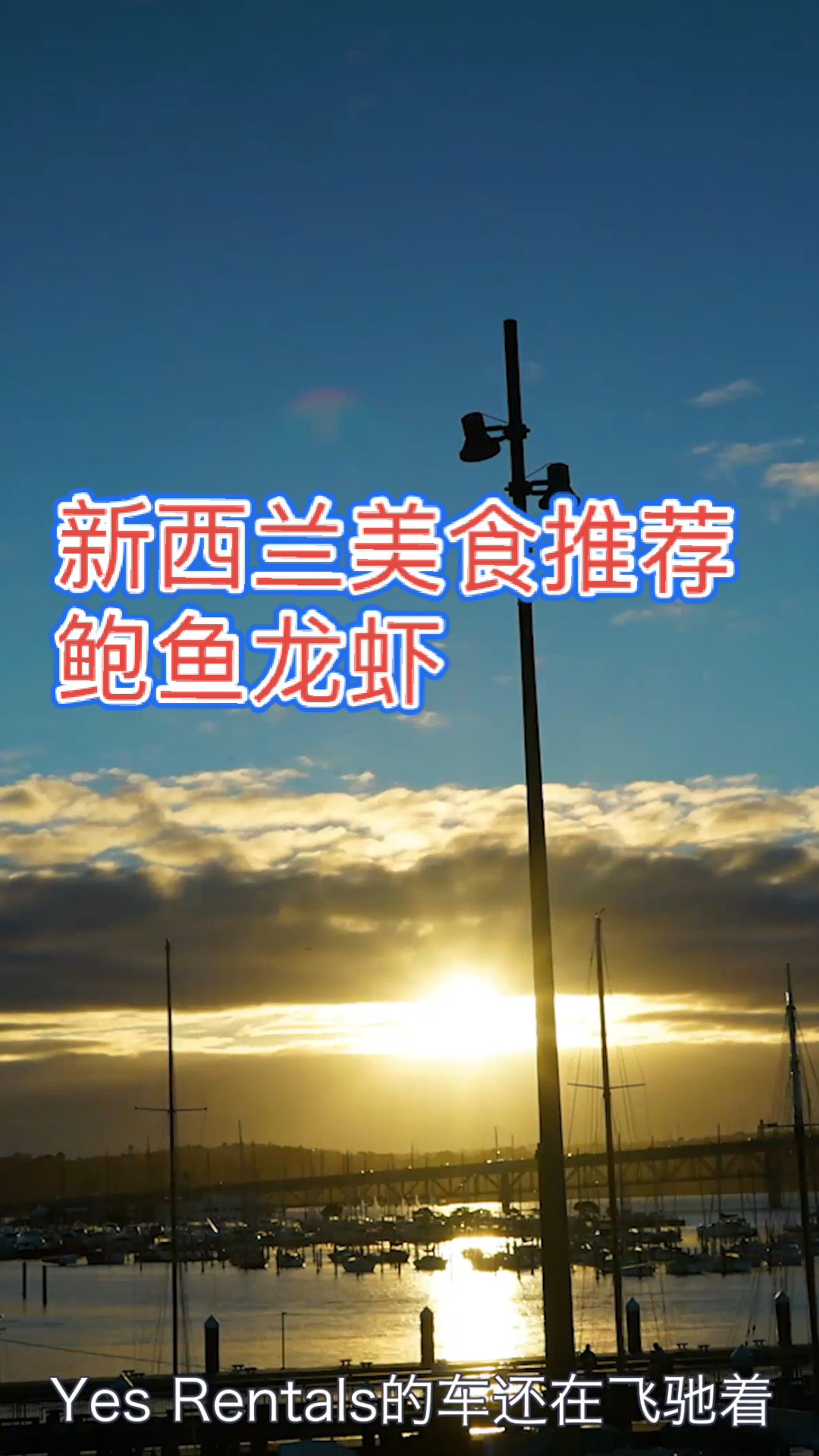 #舌尖上的旅行#鲍鱼龙虾,新西兰中餐推荐