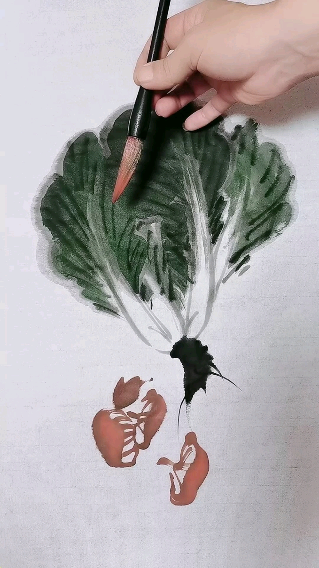 #我要上热门#大白菜超级简单好学的画法