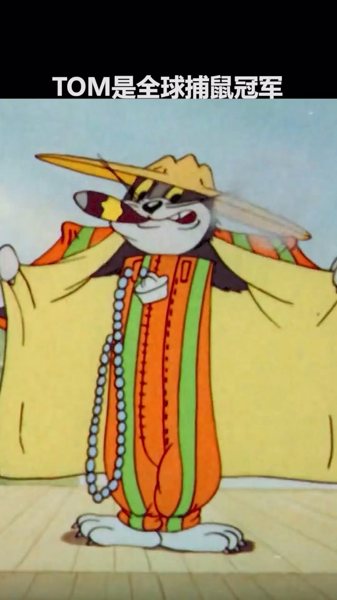 #猫和老鼠#“汤姆是全球捕鼠冠军”