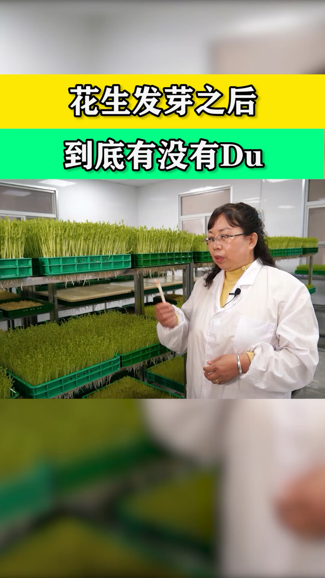 花生发芽之后到底能不能吃?