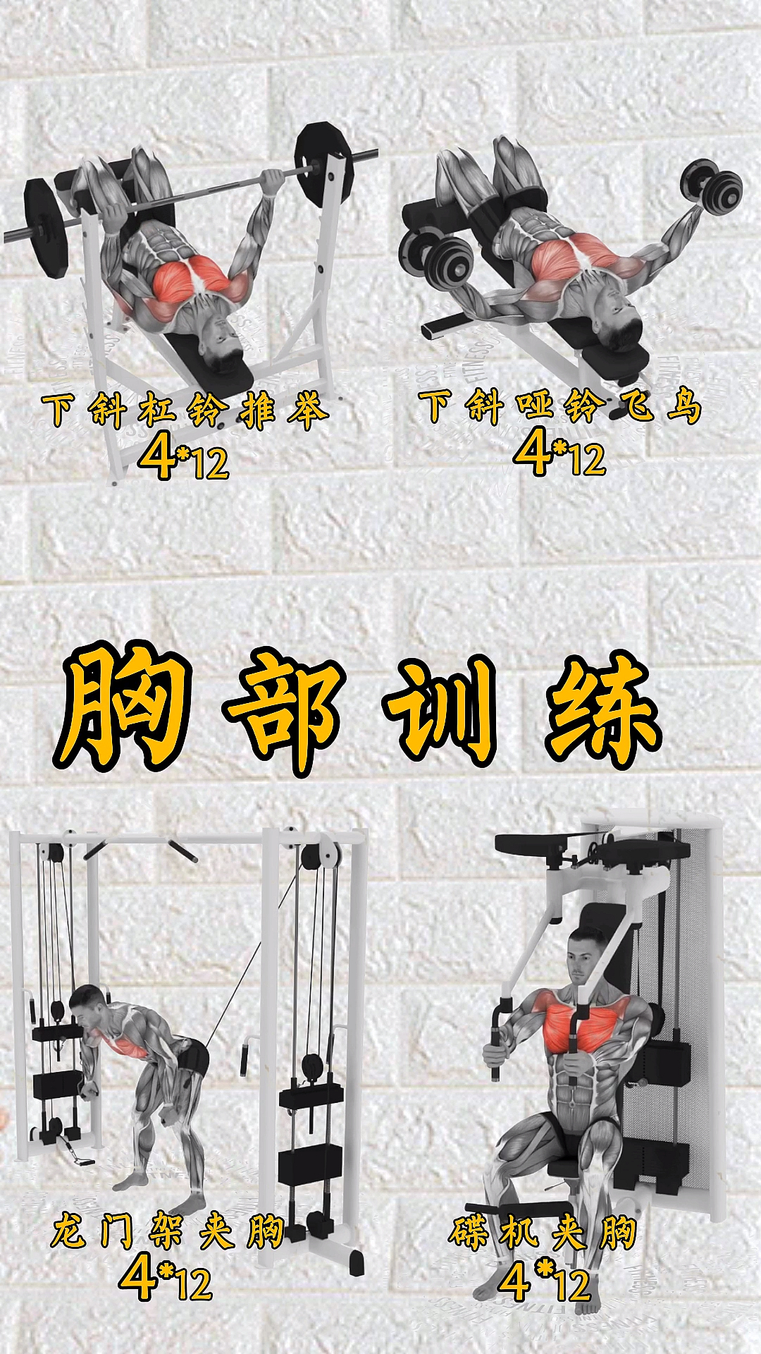 #健身#胸肌强化健身训练教程分享给热爱健身运动的小伙伴