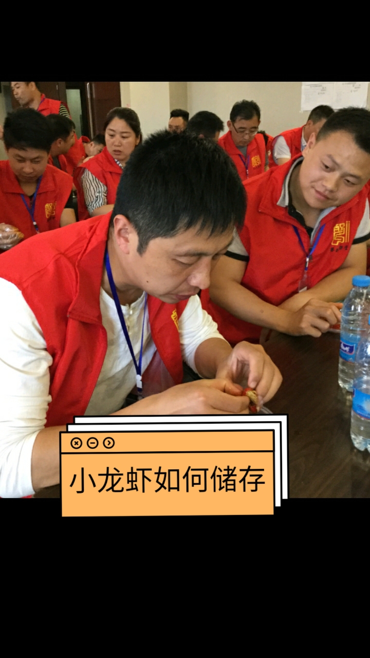 #小龙虾#小龙虾如何储存?