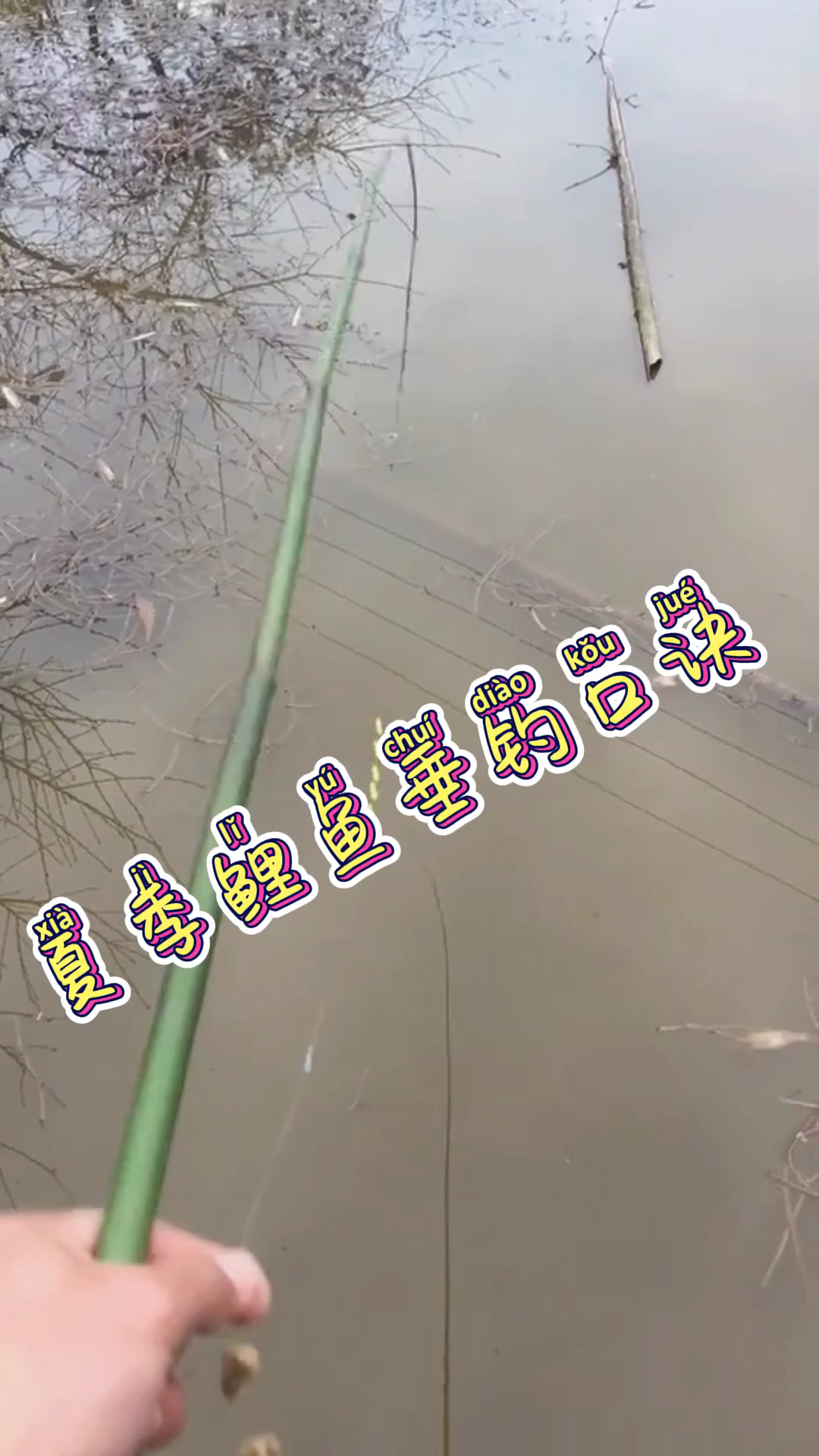 #钓鱼技术##野钓#钓鱼人#钓鱼教学#野钓鲤鱼夏季鲤鱼垂钓六钓六不钓口诀!你知道吗?
