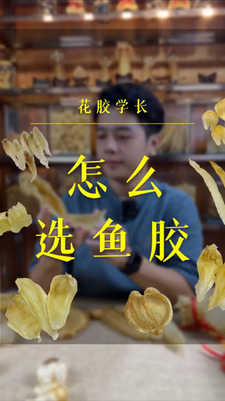 鱼胶你选对了吗?