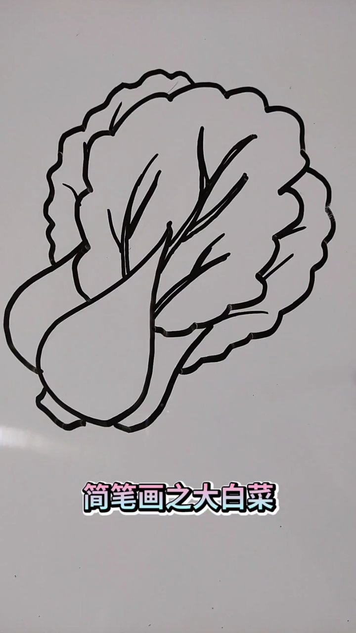 #画画原来如此简单#简笔画之大白菜!绘画可以丰富一个人的生活,提高孩子的想象力、观察力和记