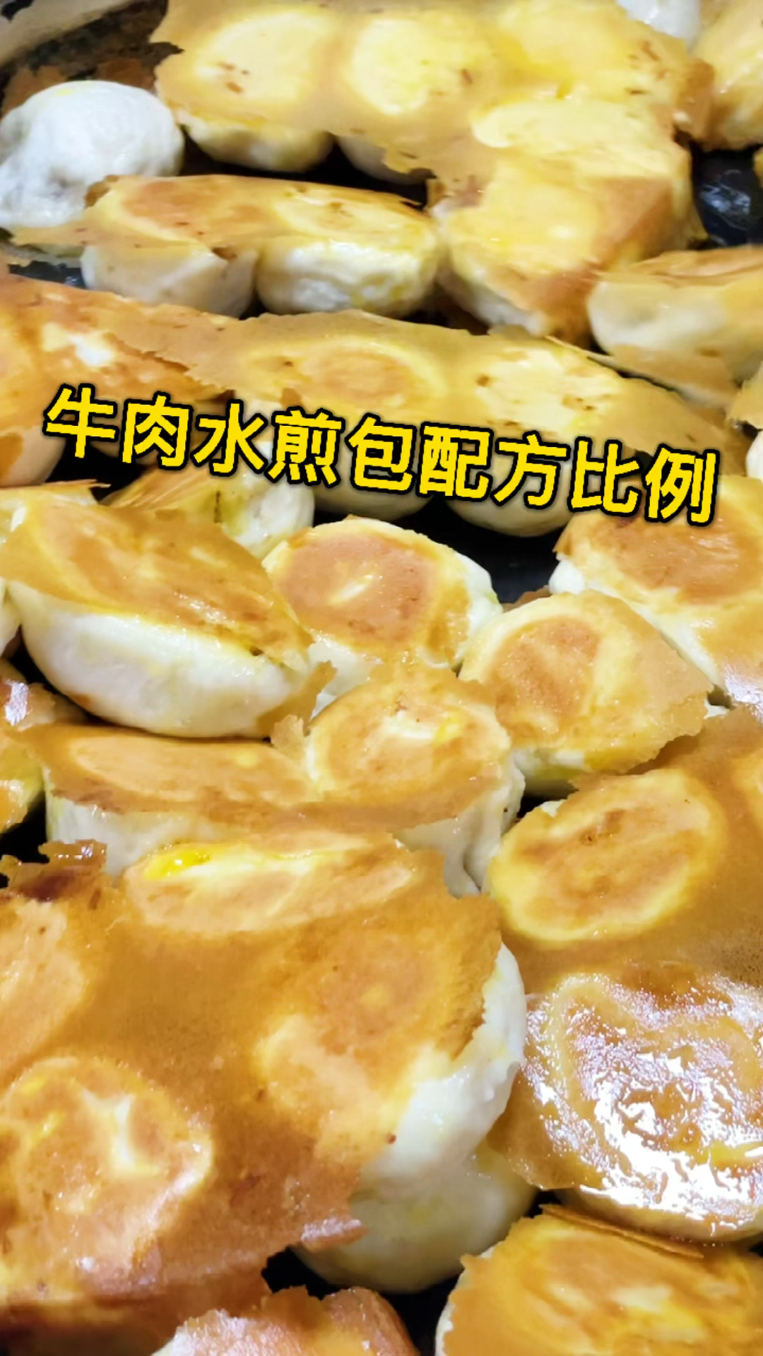 #水煎包#牛肉水煎包配方比例做法!