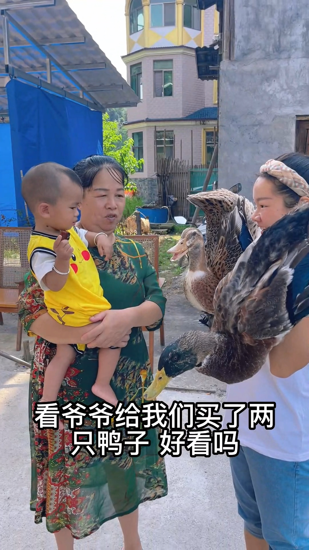 今天做一个血浆鸭