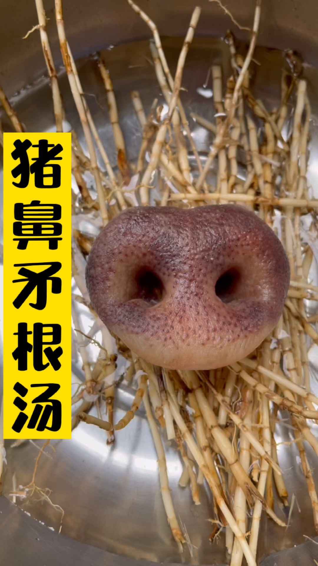 猪鼻子煮白矛根有谁吃过?