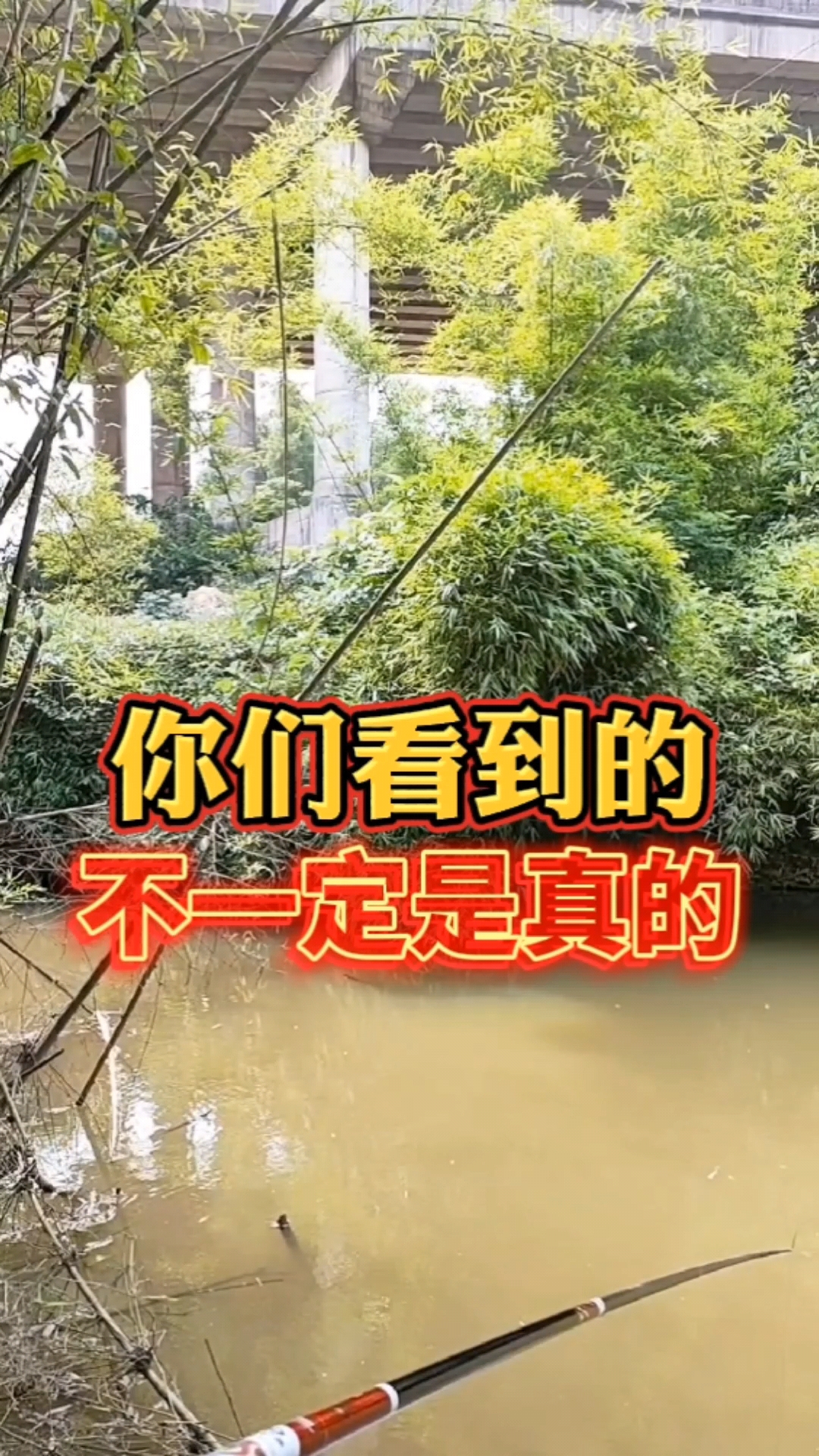 #钓鱼#为什么钓友们更喜欢看刘志强老师钓鱼?