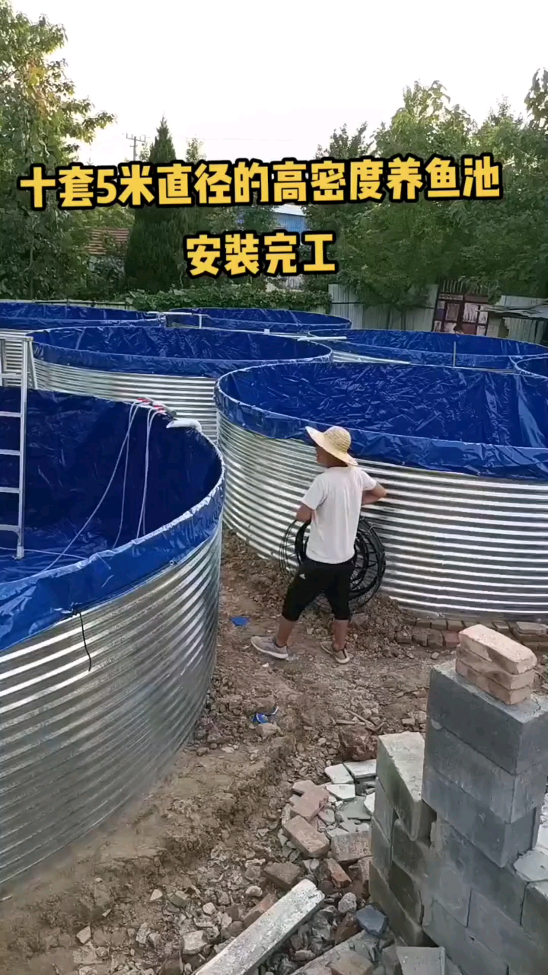 #水产养殖#工厂化高密度养鱼