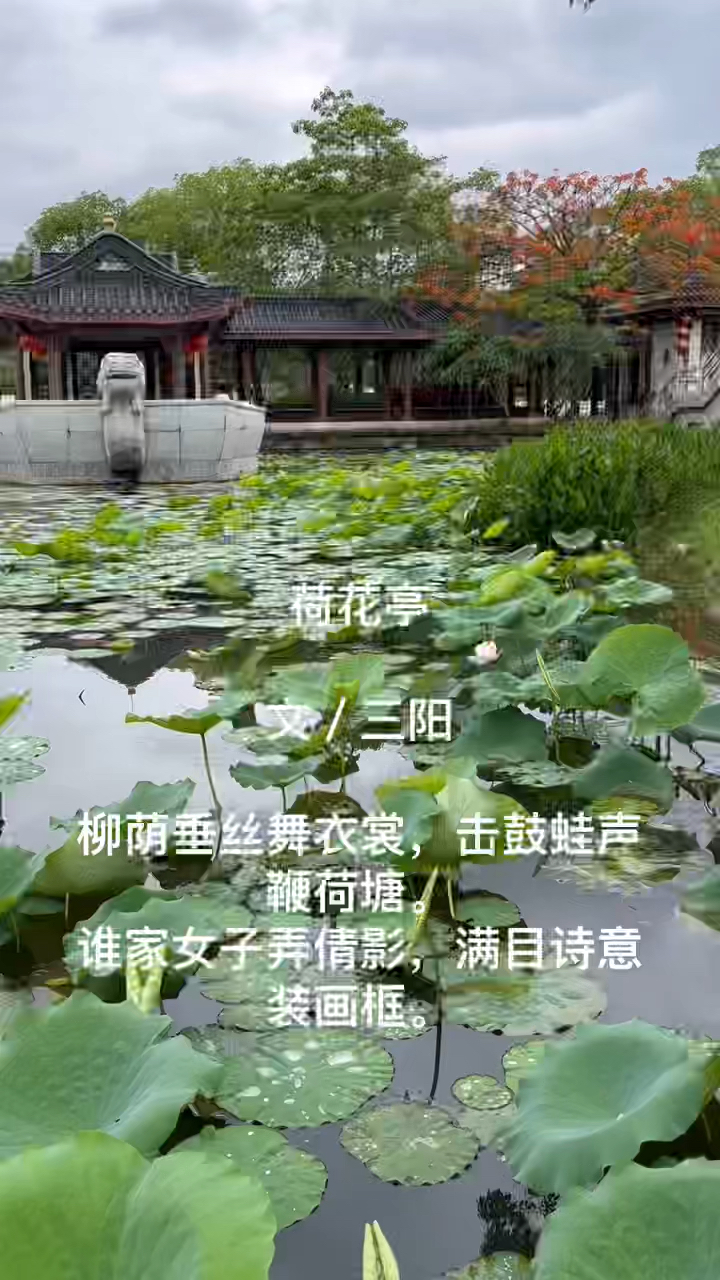诗配画:荷花池