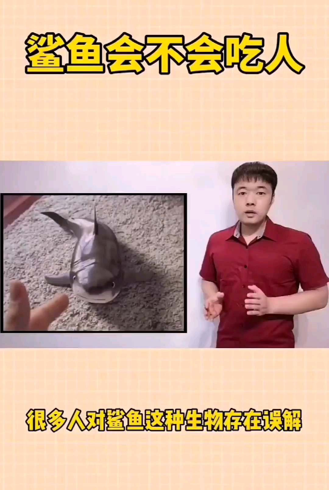 #鲨鱼#动物世界第1集鲨鱼会不会吃人