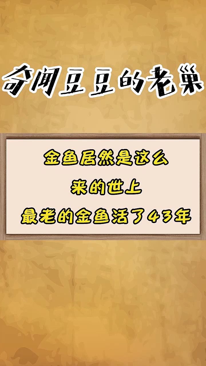 金鱼居然是这么来到世上,最老的金鱼活了43年