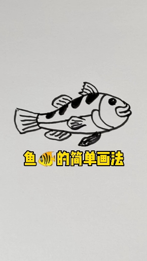 #简笔画#鱼的简单画法