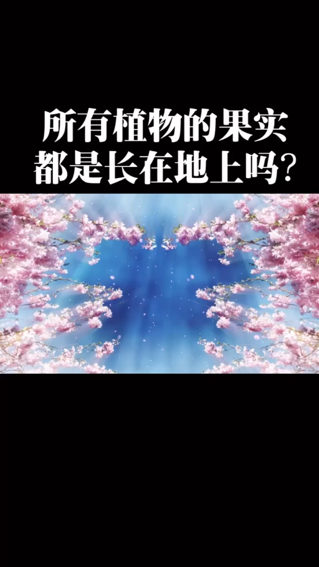 所有植物的果实都是长在地上吗