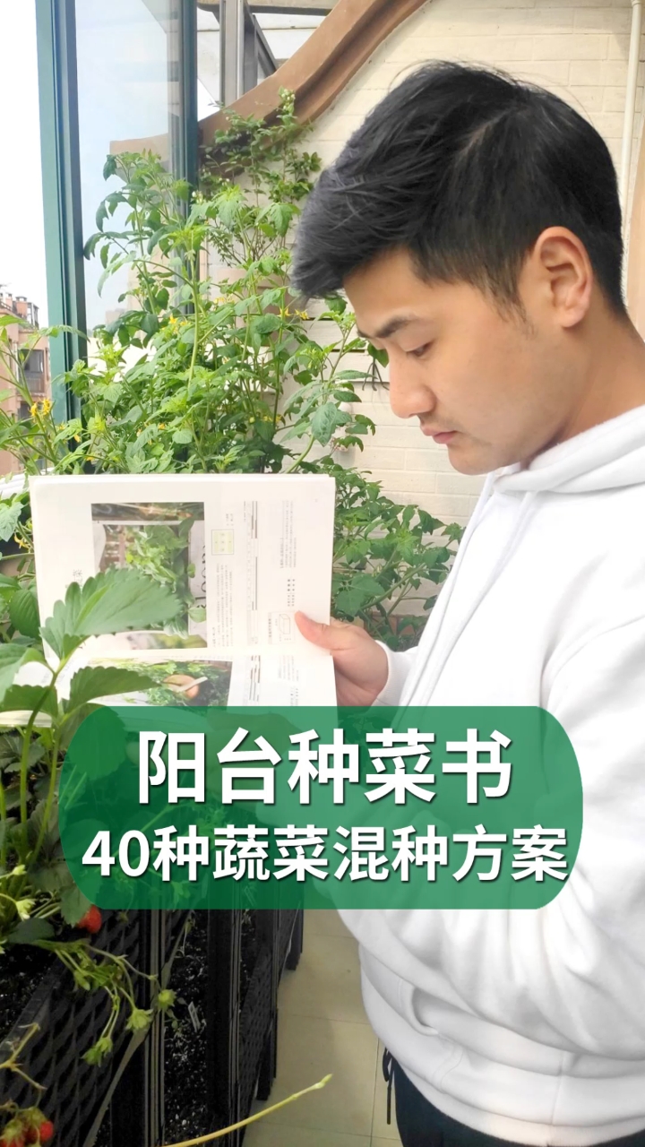 #好物推荐#25年阳台种菜经验写成一本书,40种蔬菜混种方案,推荐给老铁们!
