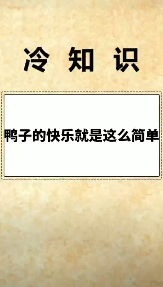 #搞笑段子#小鸭子咿呀咿呀哟