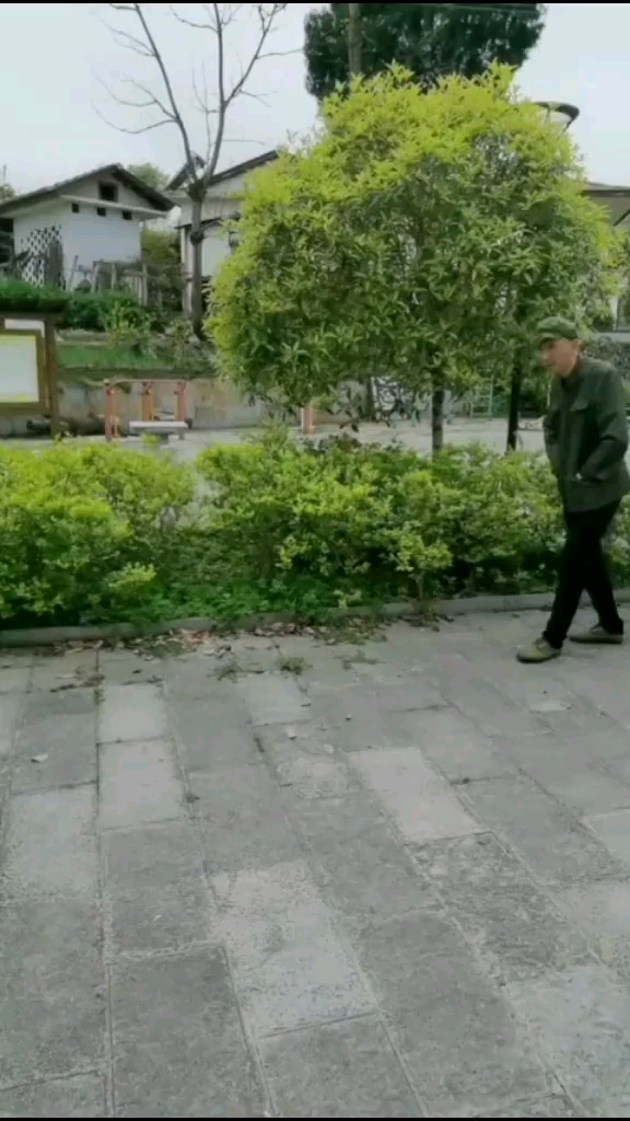 我只是说说而已#搞笑日常