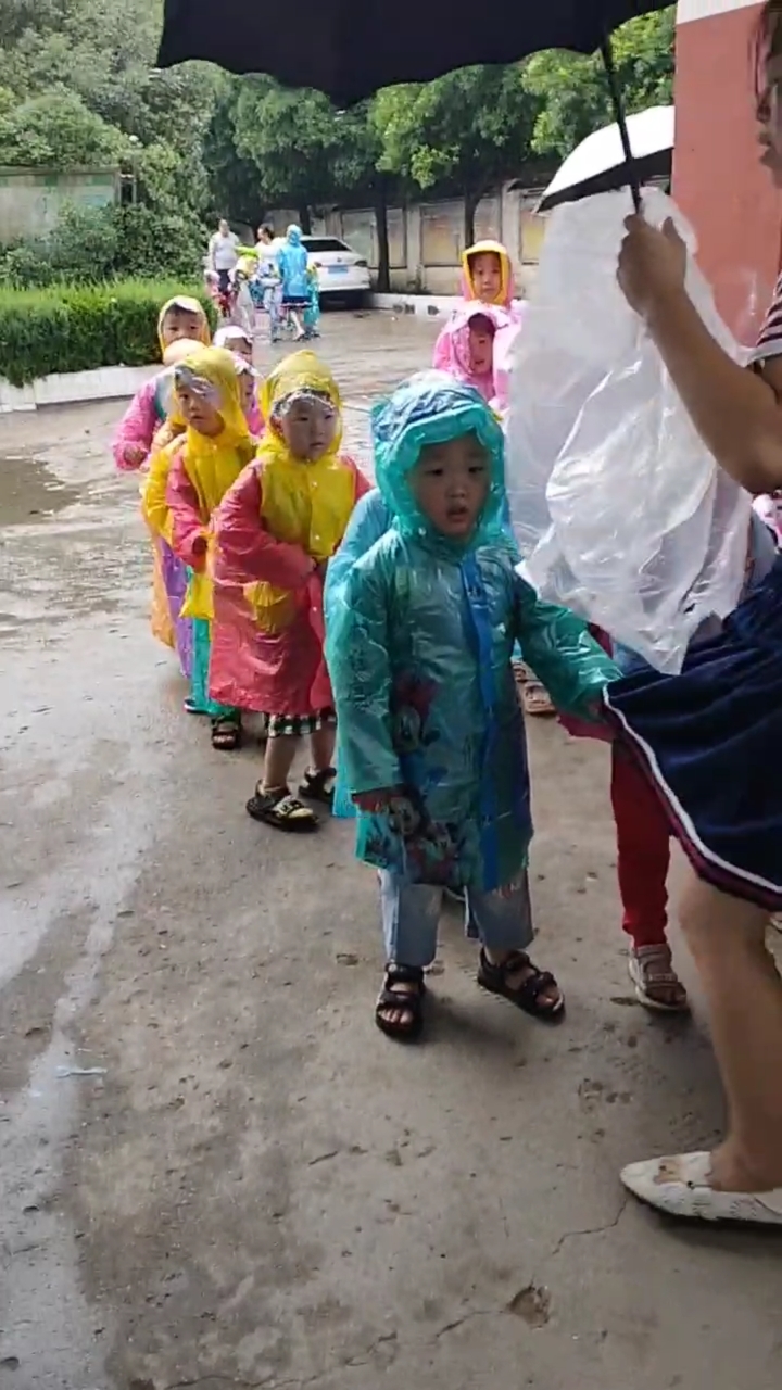 来了一群小鸭子