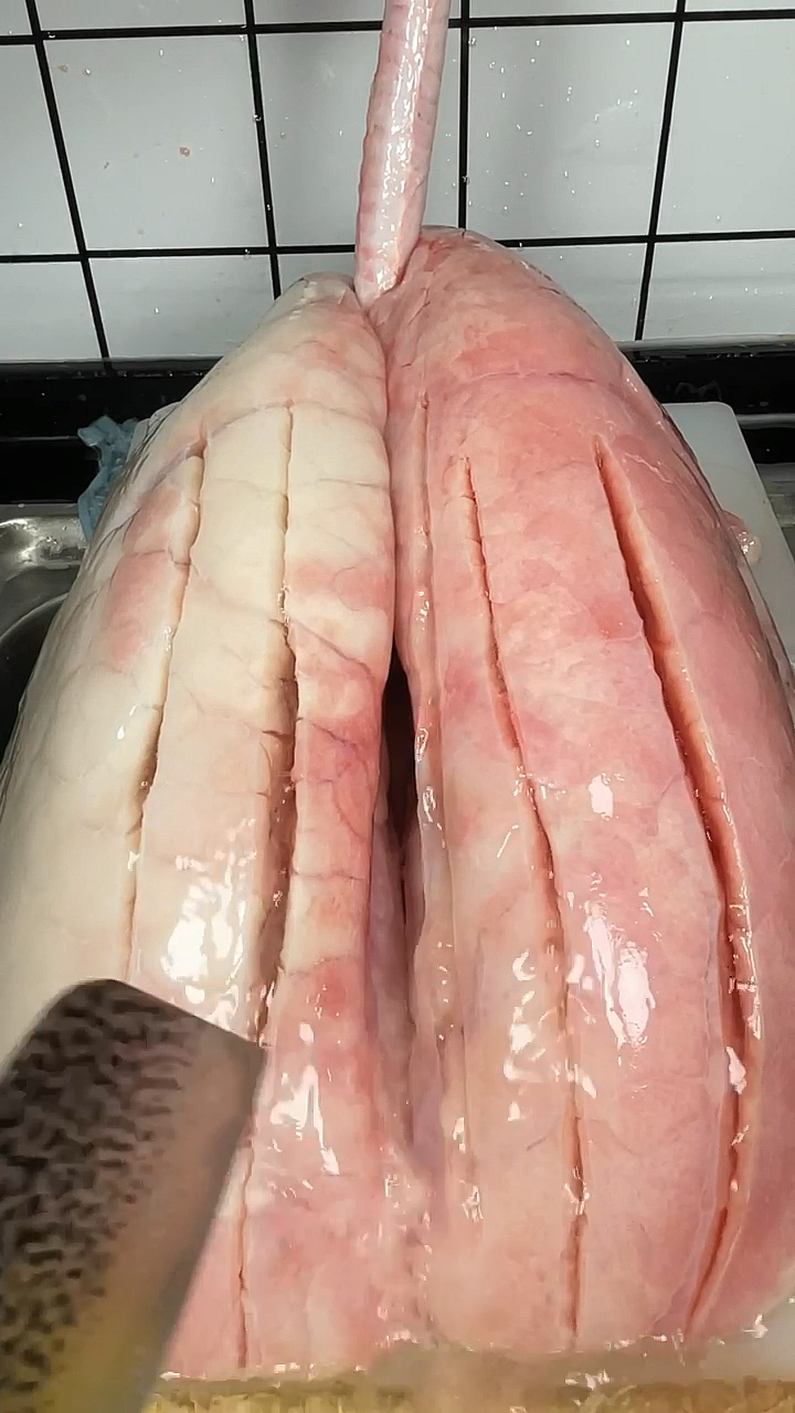 #家乡特色美食#秋冬季节容易咳嗽一定要多喝这个猪肺萝卜汤