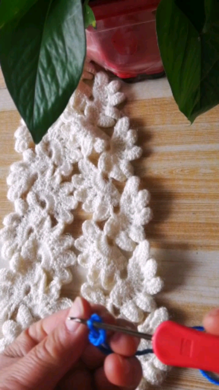 #传艺计划#鸡冠花围巾教程1